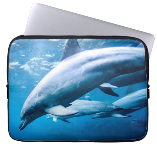 Delphine Unterwasser Laptopschutzhülle (Vorderseite)