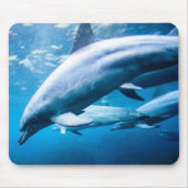 Delphine Unterwasser Mousepad (Vorne)