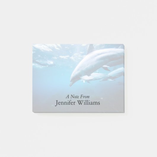 Delphine Unterwasser Post-it Klebezettel (Vorderseite)