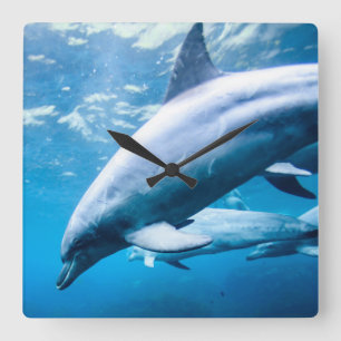 Delphine Unterwasser Quadratische Wanduhr