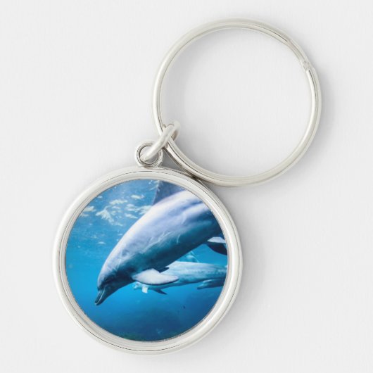 Delphine Unterwasser Schlüsselanhänger (Vorne)
