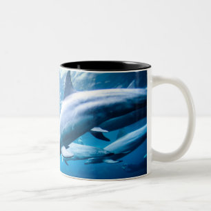 Delphine Unterwasser Zweifarbige Tasse