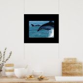 Delphinen-Poster Poster (Küche)