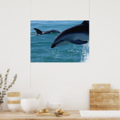 Delphinen-Poster Poster (Küche)