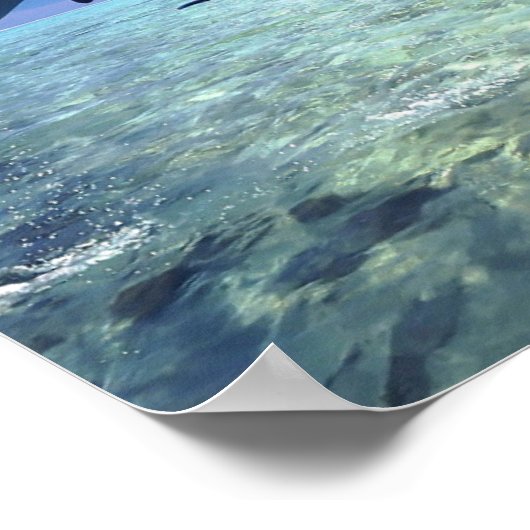 Delphinen-Poster Poster (Ecke)