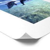 Delphinen-Poster Poster (Ecke)