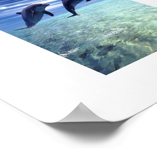 Delphinen-Poster Poster (Ecke)