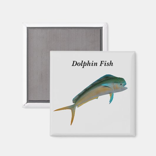 Delphinfisch Magnet (Vorderseite/Rückseite)