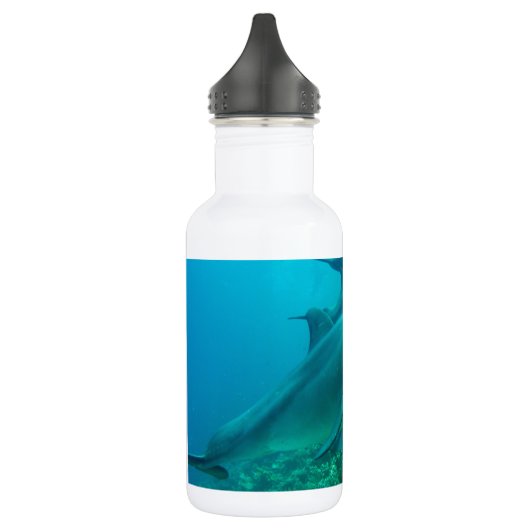 Delphinfisch-Marineozean unter Wasser-Schwimmen Trinkflasche (Links)