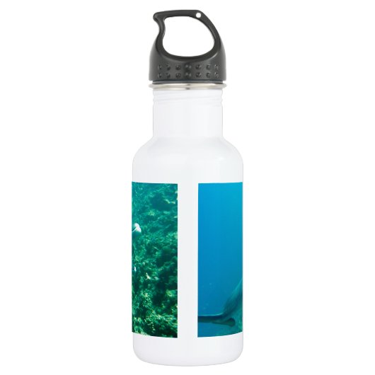 Delphinfisch-Marineozean unter Wasser-Schwimmen Trinkflasche (Rückseite)