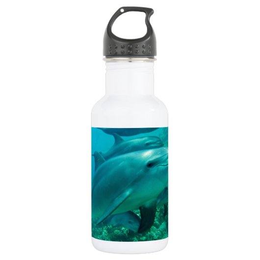 Delphinfisch-Marineozean unter Wasser-Schwimmen Trinkflasche (Vorderseite)