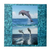 Delphinfliese Fliese (Vorderseite)