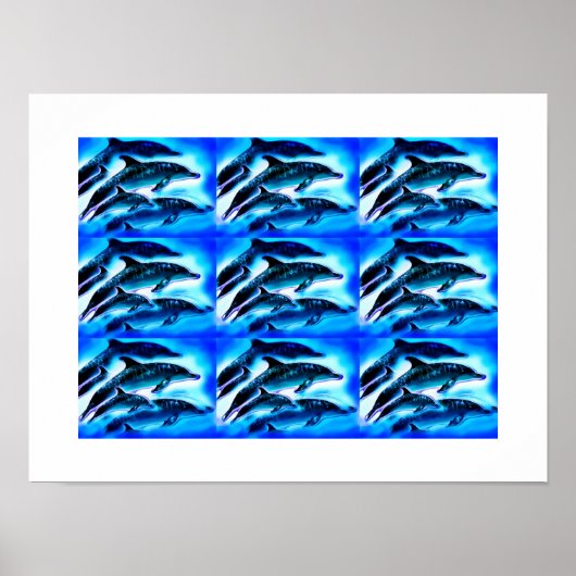 Delphingruppen Poster (Vorne)