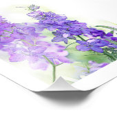 Delphinia Fotodruck (Ecke)