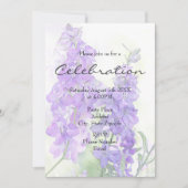 Delphinien-Aquädukte Einladung (Vorderseite)