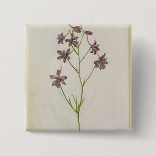 Delphinium ajacis, c.1568 button