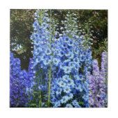 Delphinium Blume Gartengarten Fliese (Vorderseite)