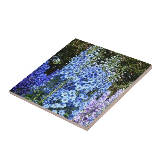 Delphinium Blume Gartengarten Fliese (Seite)