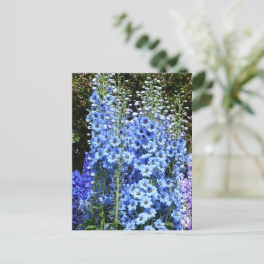Delphinium Blume Gartengarten Postkarte (Stehend Vorderseite)