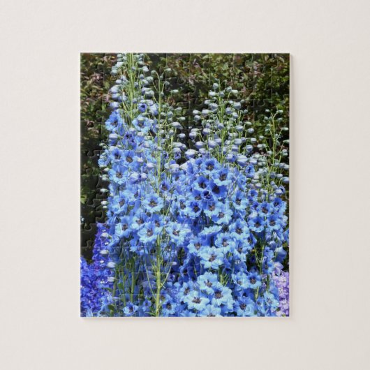 Delphinium Blume Gartengarten Puzzle (Vertikal)