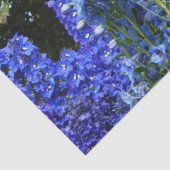 Delphinium Blume Gartengarten Seidenpapier (Detail)