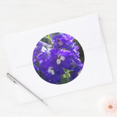 Delphinium-Blume Nah Runder Aufkleber (Umschlag)