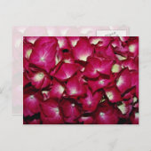 Delphinium-Blume Postkarte (Vorne/Hinten)