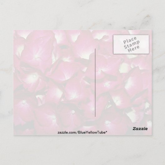 Delphinium-Blume Postkarte (Rückseite)