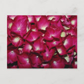 Delphinium-Blume Postkarte (Vorderseite)