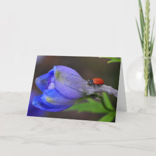 Delphinium-Gruß-Karte Karte