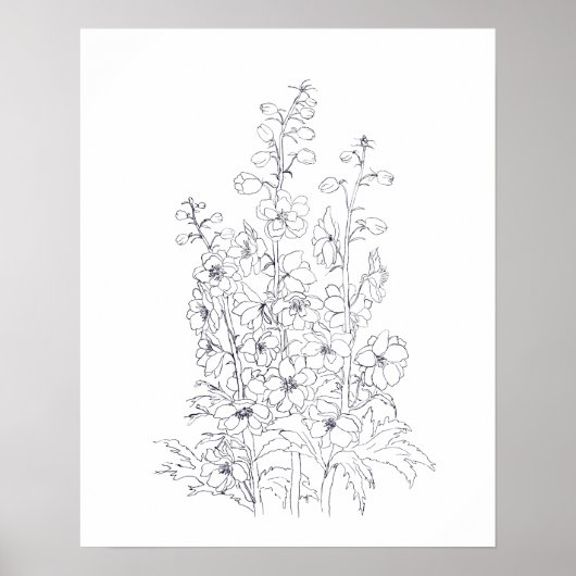 Delphinium-Larkspur-Blume zeichnend Poster (Vorne)