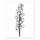 Delphinium Larkspur Traumstrecke Lange Blüte Gummistempel (Prägung)