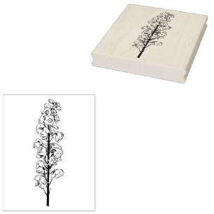 Delphinium Larkspur Traumstrecke Lange Blüte Gummistempel