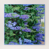 Delphinium Schöne Blumen Jigsaw Puzzle (Horizontal)