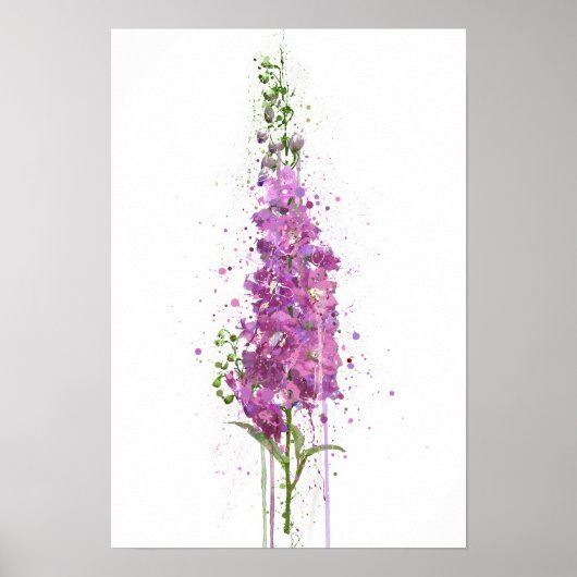 Delphiniums Poster (Vorne)