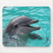 Delphinkopf im Aquamarinewasser Mousepad (Vorne)
