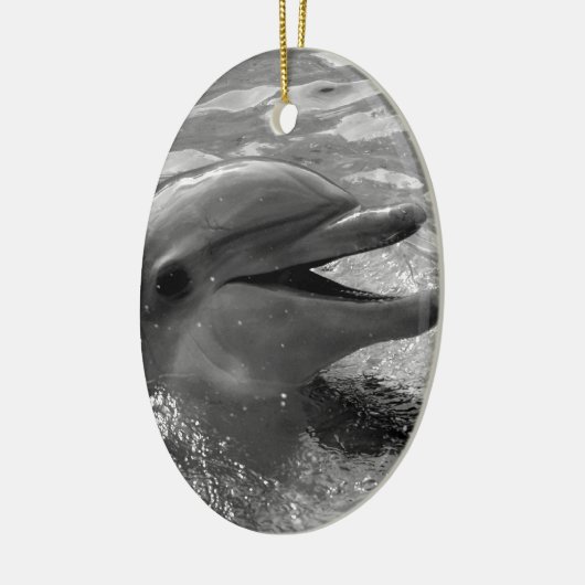 Delphinkopf in Wassermund offenem Schwarzweiss Keramikornament (Links)