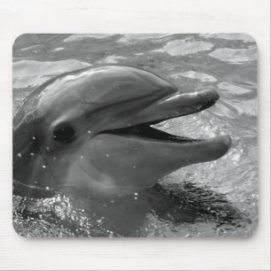Delphinkopf in Wassermund offenem Schwarzweiss Mousepad