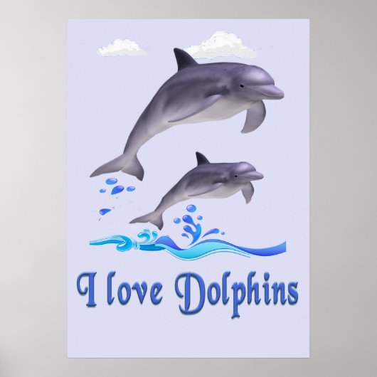 Delphinliebe Poster (Vorne)