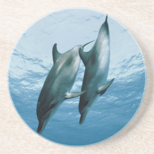 Delphinpaare Getränkeuntersetzer