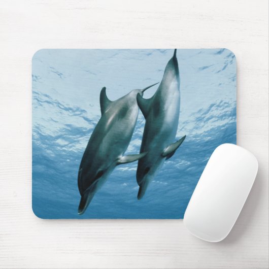 Delphinpaare Mousepad (Mit Mouse)