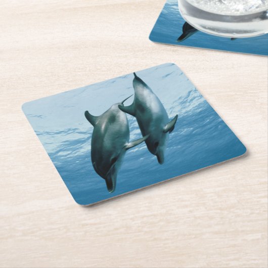 Delphinpaare Rechteckiger Pappuntersetzer (angewinkelt)