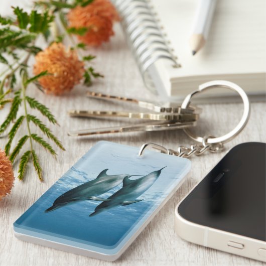 Delphinpaare Schlüsselanhänger (Vorderseite rechts)