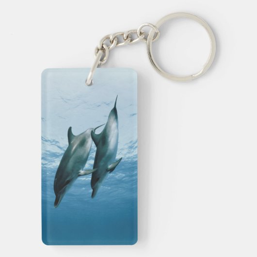 Delphinpaare Schlüsselanhänger (Rückseite)