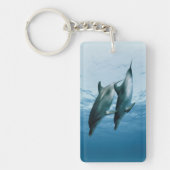 Delphinpaare Schlüsselanhänger (Vorderseite)