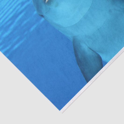 Delphinpapier Seidenpapier (Ausschnitt)