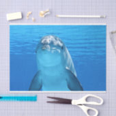 Delphinpapier Seidenpapier (Handwerk)