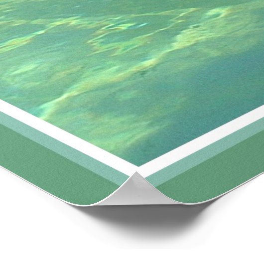 Delphinprägeglanz Poster (Ecke)