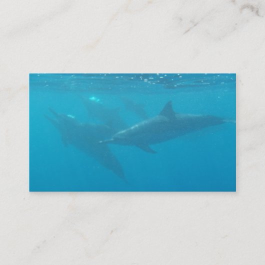 Delphintauchfirmenkundengerechte Visitenkarten Visitenkarte (Vorderseite)