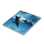 Delphintrio Fliese (Seite)